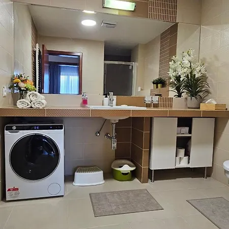 アパート Apartmanica 511 *